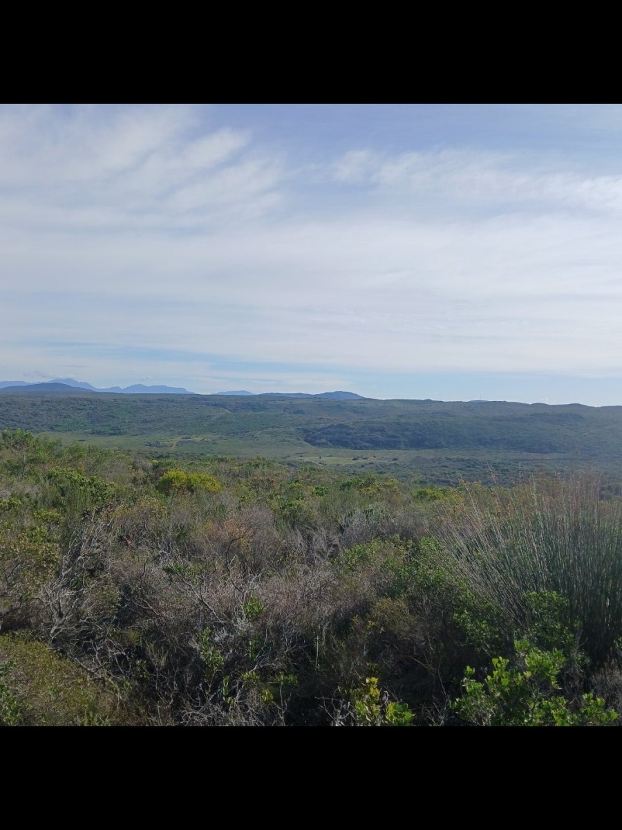 2 Bedroom Property for Sale in Albertinia Western Cape